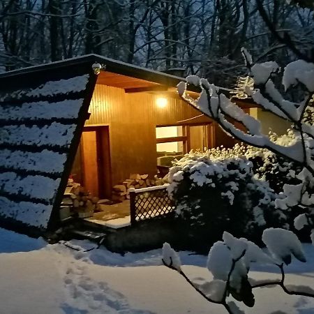 Villa Chalpa Na Skarpie Meszna Esterno foto