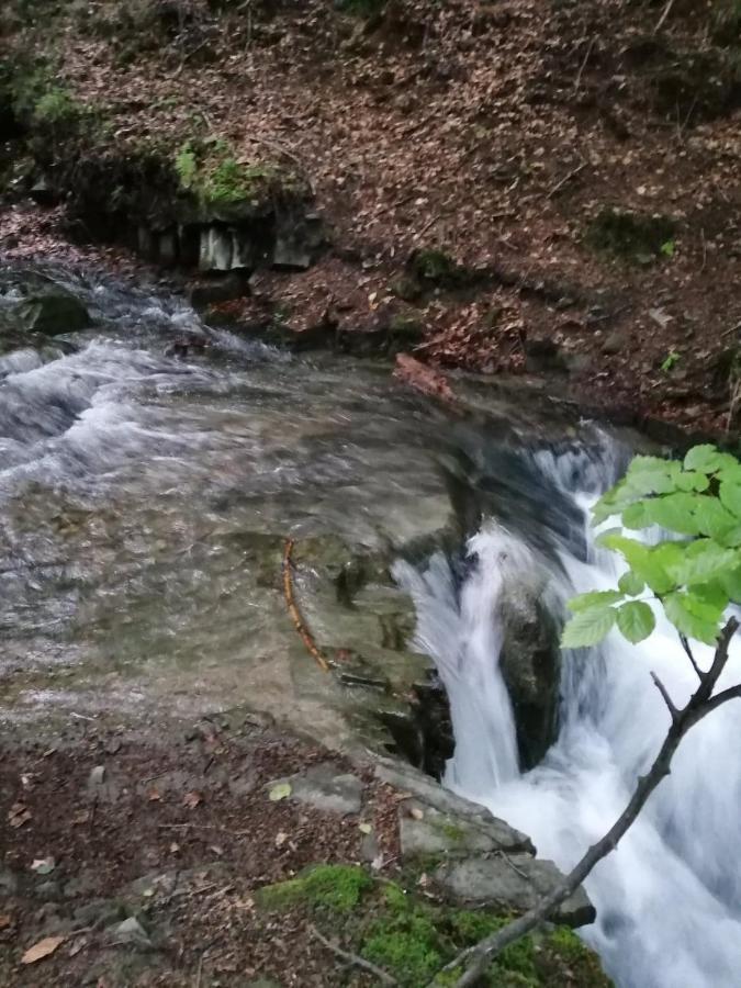 Villa Chalpa Na Skarpie Meszna Esterno foto