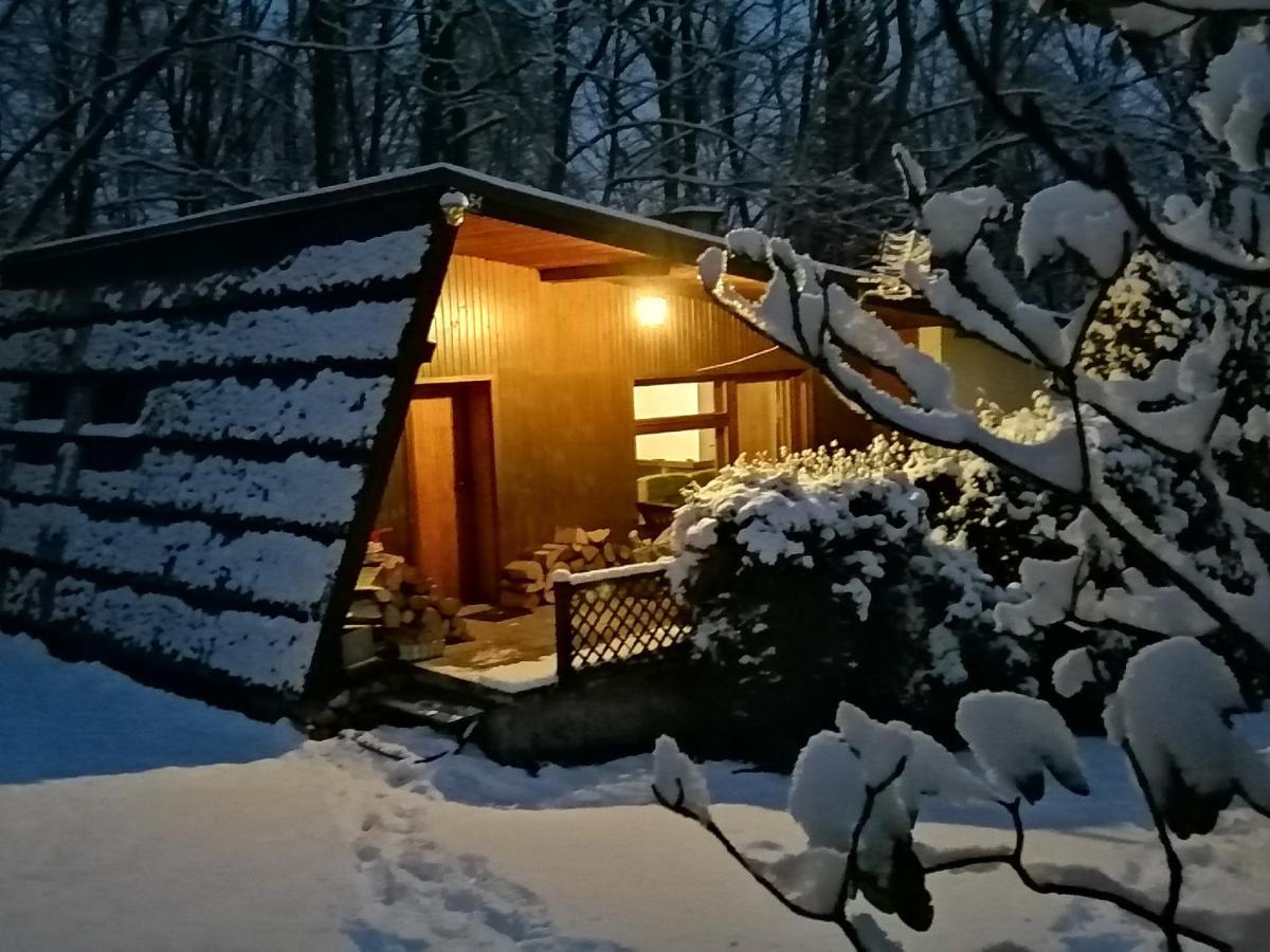 Villa Chalpa Na Skarpie Meszna Esterno foto
