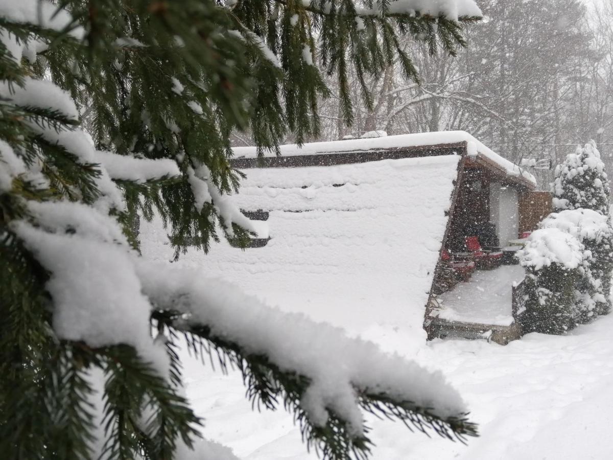 Villa Chalpa Na Skarpie Meszna Esterno foto